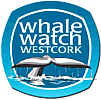 Whale and dolphin watching